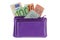 Purple multi layered leather zippered coin pouch with Euro banknote