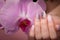 Purple neat manicure on female hands on flowers background. Nail design