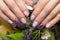 Purple neat manicure on female hands on flowers background. Nail design