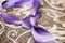 Purple necktie with trinity tie knot on a sofa, closeup