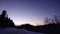 Purple Night Sky and Pinetrees in Swedish winter landscape of Are Valadalen, Jamtland