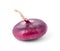 Purple onion isolated on a white