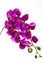 Purple orchid artificial flower