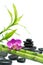 Purple orchid with bamboo and black stones - white background