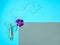 Purple orchid flower,curving thin driftwood on 2 duo colored paper background of light blue,gray.Rectangle copy space