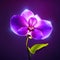 Purple orchid flower on a purple background. 3d rendering AI Generated