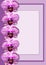 Purple orchid frame