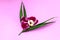 Purple orchid with greens on a pink background. Space for text.