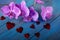 Purple Orchid and hearts