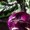 Purple organic fresh kohlrabi cabbage, summer harvest on brown kitchen table. selective focus