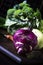 Purple organic fresh kohlrabi cabbage, summer harvest on brown kitchen table. selective focus