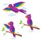 Purple parrot illustration set.