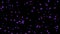 Purple particles black screen 4K