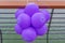 Purple Party Balloons