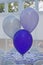 Purple Party Balloons