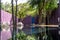 Purple peaceful asian garden with zen style