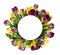 Purple peony tulips and yellow narcissus flowersin a round frame