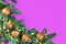 Purple picture with fir branches and golden balls.