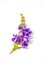 Purple Pigeon berry flower on white paper , duranta repens L.