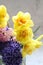 Purple and pink hyacinths and yellow daffodils, cut flowers in a vase, colorful cut flowers