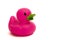 Purple, Pink Rubber Duck on white