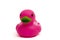Purple, Pink Rubber Duck on white