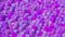 Purple and pink tubes and cylinders pattern. Abstract illustration, 3d render