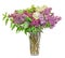Purple, pink and white Syringa vulgaris in a transparent vase (lilac or common lilac) flowers, close up, white background