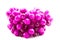 Purple plastic bead