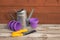 Purple plastic flower pots, watering can and yellow gardening tools on aged wooden table