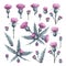 Purple plume thistle. Watercolor botanical set. Hand-drawn artistic illustration