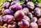 purple potatoes crop close-up selective soft focus, organic vegetables