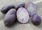 Purple potatoes Solanum tuberosum close up