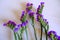 Purple potpourri flowers bouquet on white background. Top view. Copy space. Holidays, birthday mockup.