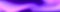 Purple-purple out-of-focus background. Bright rich color.