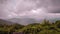 Purple Rain, Mountain Scene, Roan Mountain, Tennessee