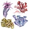 Purple and red aquatic underwater nature coral reef. Watercolor background set. Isolated coral illustration element.