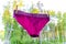 Purple or red panties hang on the clothesline and hold two clothespins. washing and drying a