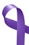 Purple Ribbon isolated on white background Purple Day epilepsy awareness sign