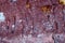 Purple Rock surface for texture background