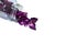 Purple rose corollas spinning out from a glass bottle on white isolated background
