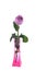 Purple rose in vase