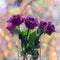 Purple roses in a glass vase. Beautiful bokeh. Soft focus
