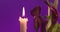 Purple sepals of the Calla lily near burning wax candle