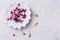 Purple Shiso Cress on grey background