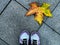 Purple shoe on Footpath Diamond brick block with a yellow maple, the beautiful pathway of natural environmental in autumn season.