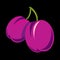 Purple simple vector plums, ripe sweet fruits illustration. Heal
