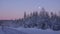 Purple Sky, Moon and Pinetrees in Swedish winter landscape of Are, Jamtland