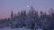 Purple Sky, Moon and Pinetrees in Swedish winter landscape of Are, Jamtland