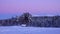 Purple Sky, Moon and Pinetrees in Swedish winter landscape of Are, Jamtland